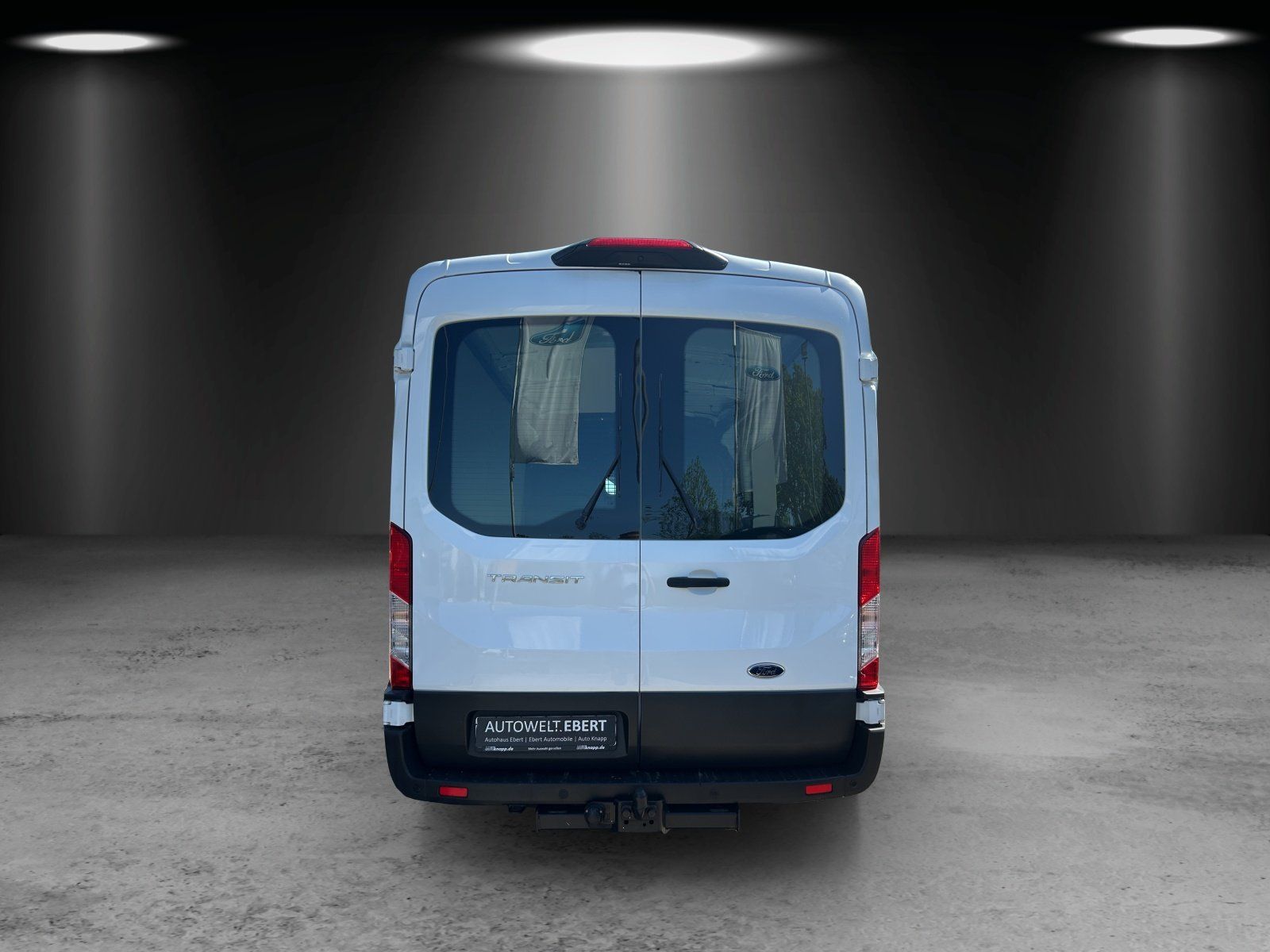 Fahrzeugabbildung Ford Transit 290 L2H2 LKW VA Trend