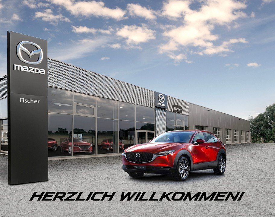 Mazda 2 Hybrid 1.5 (116PS) Autom. Agile Com-P. Allwett imagem 2