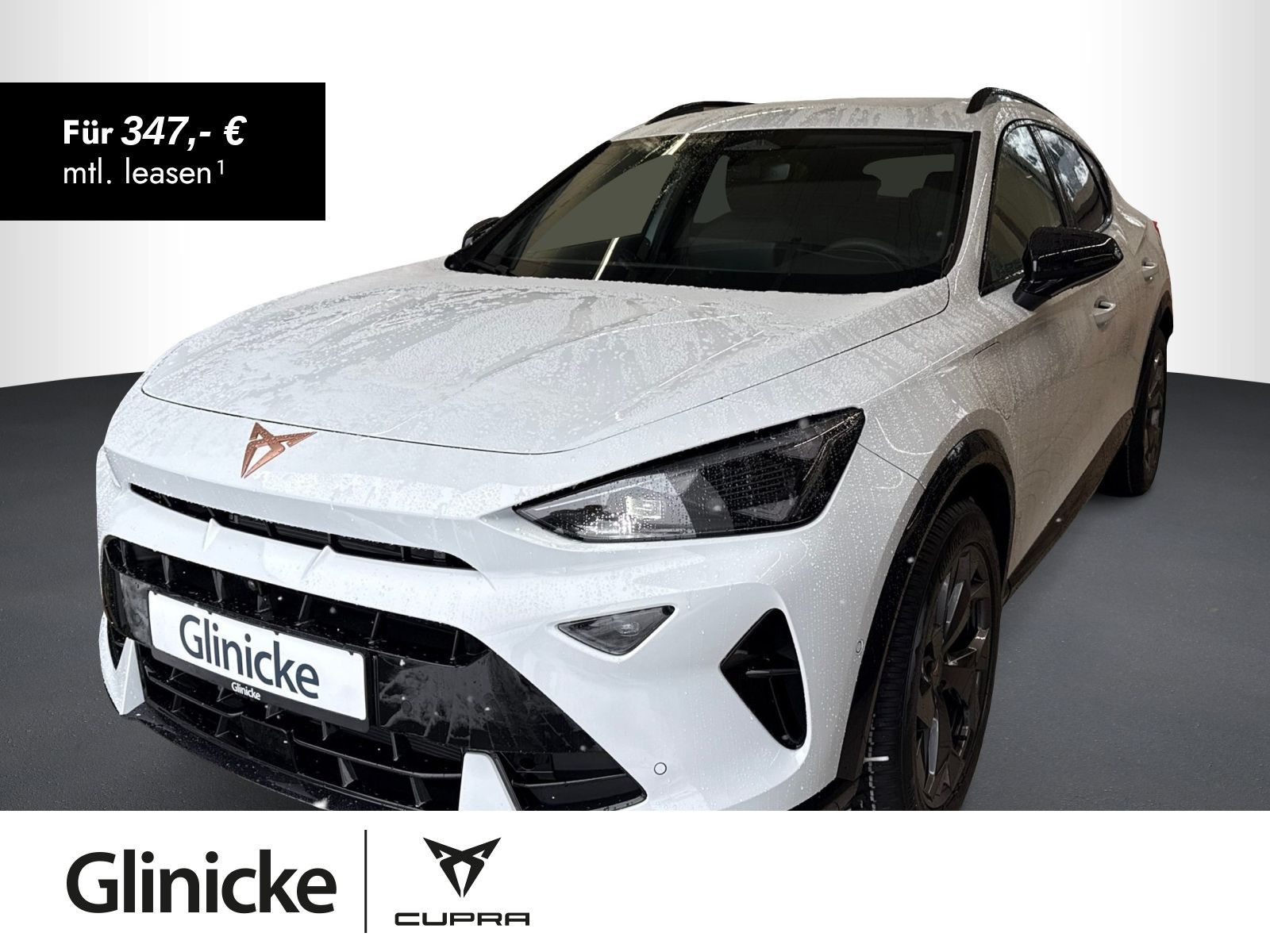 Cupra Formentor 1.5 e-HYBRID, AHK, SHZ, Ganzjahresreif