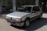 Peugeot 205 - Peugeot 205 mit Benzin-Antrieb