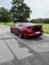 Ford Mustang 5.0 Ti-VCT V8 Bullitt Shelby GT350 Style - Ford Mustang: Shelby Gt350