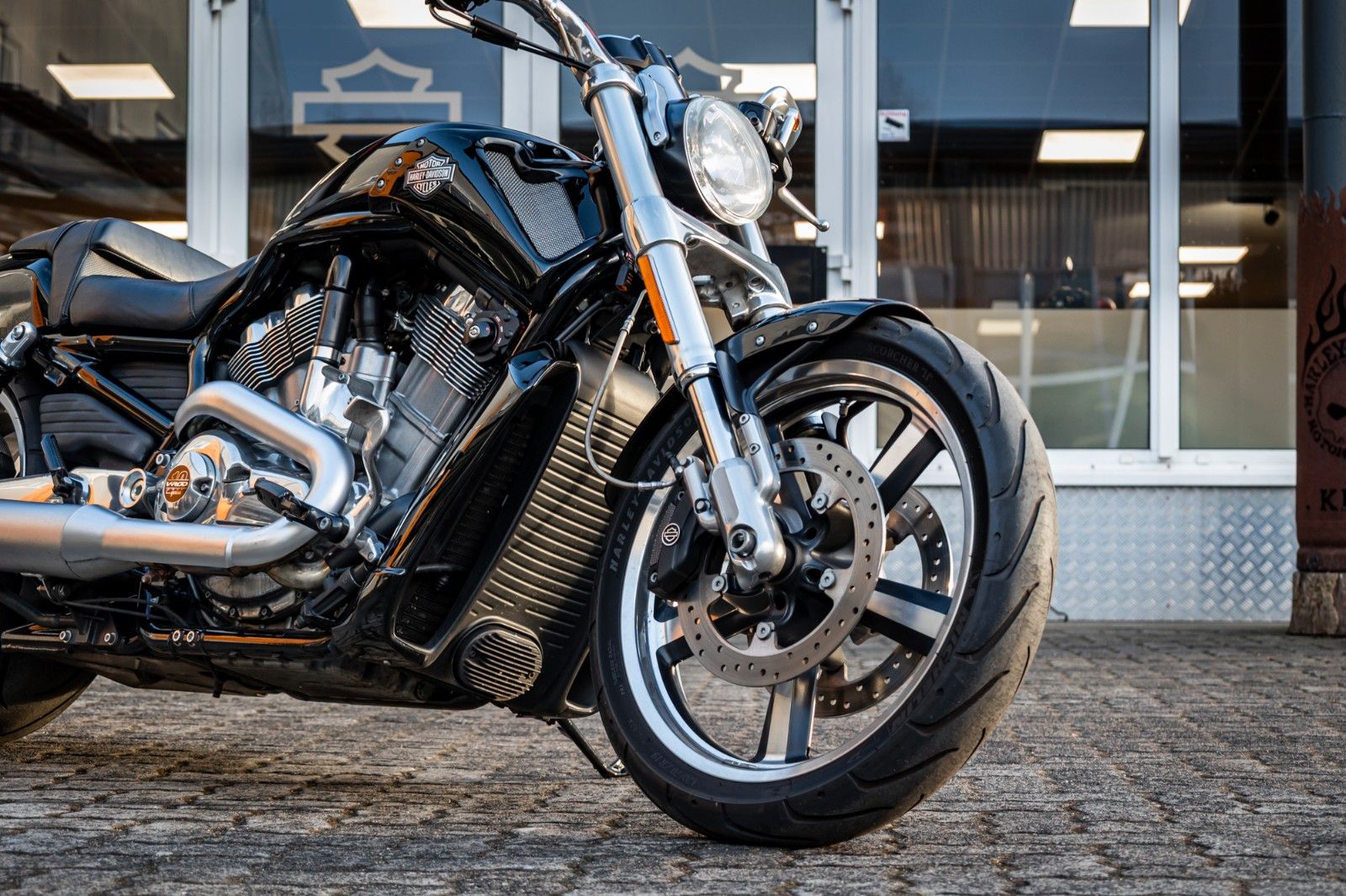 Fahrzeugabbildung Harley-Davidson VRSCF V-Rod Muscle 1250 - 240er Reifen