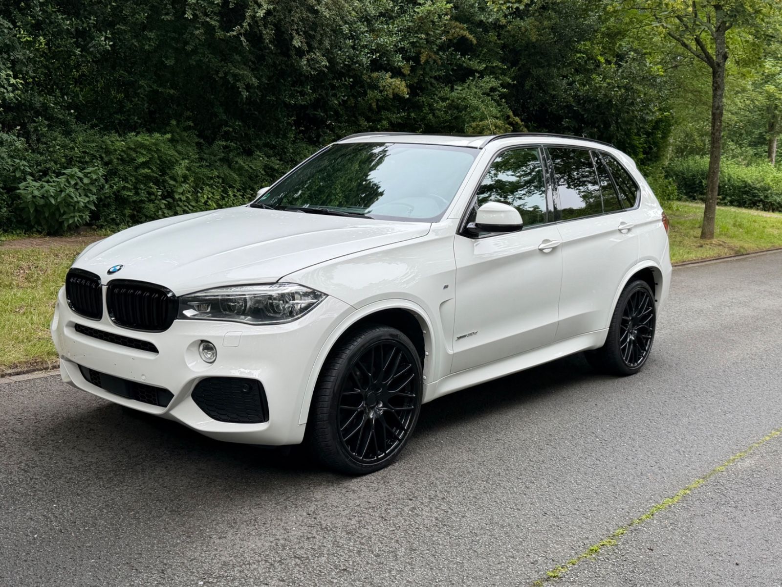 BMW X5 xDrive30d - Voll 