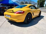 Porsche Cayman 2.7 - gebrauchte Porsche Cayman aus dem Jahr 2007