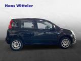 Fiat Panda Easy 1.2L 1. Hand / Klimaanlage/Bluetooth - Fiat Panda: Schwarz