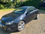 Volkswagen Eos 2.0 TSI DSG - - Volkswagen Eos: Dsg