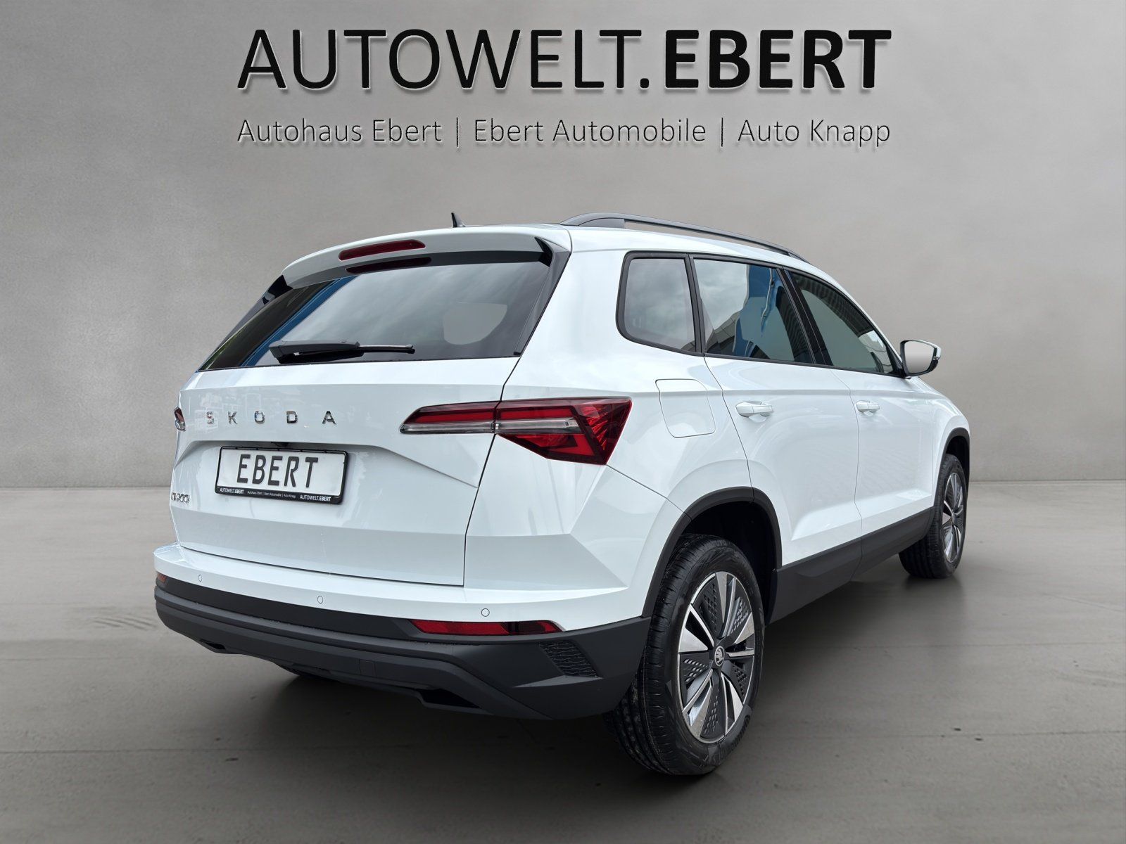 Fahrzeugabbildung SKODA Karoq Balance 1,5 TSI 110 kW DSG MATRIX/RFK/AHK