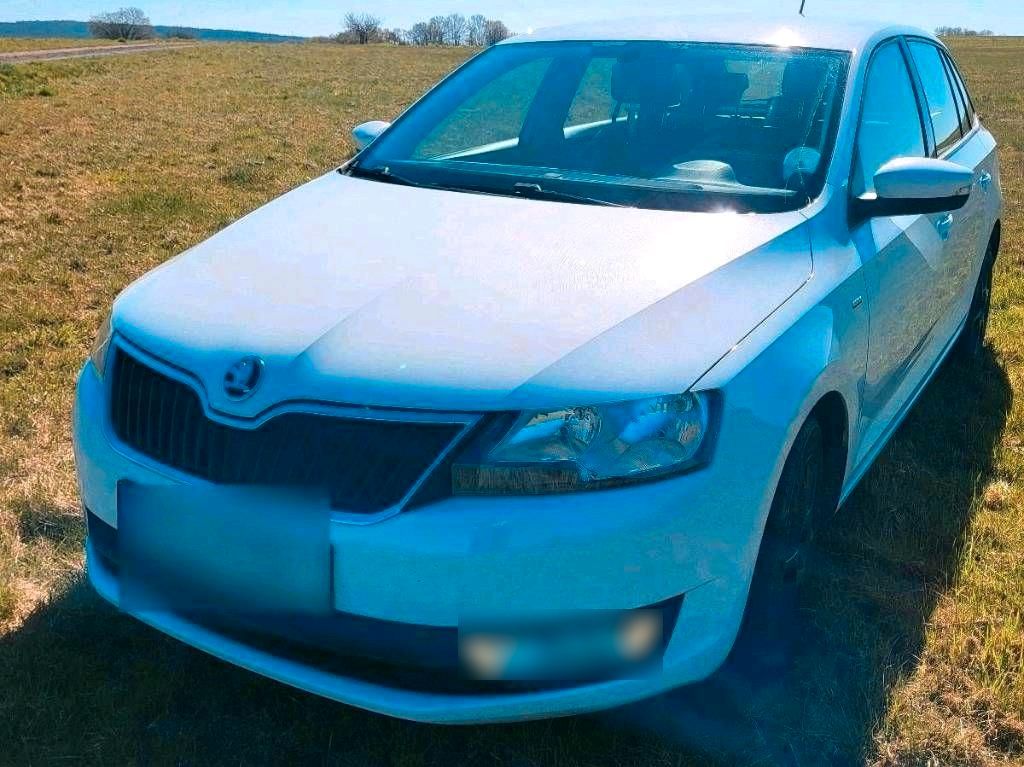 Image of Skoda Rapid