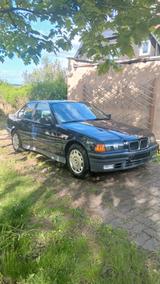 BMW 316i 316i - BMW 316 aus 1993: 316i
