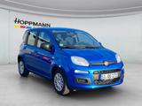 Fiat Panda 1.0 Mild-Hybrid *Klima*PDC*5sitzer* - Fiat Panda: Sitzer