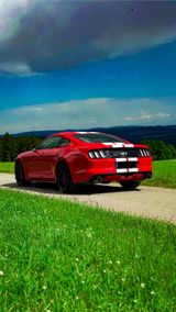Ford Mustang GT 5.0 V8 Black Shadow  EU Modell - Ford B model Gebrauchtwagen
