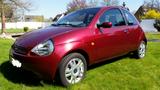 Ford Ka/Ka+ 1,3 51kW Royal Royal - Ford aus 2005: Ka