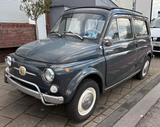 Fiat 500 Giardiniera mit 30 PS - Fiat 500: Giardiniera