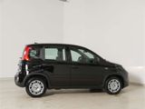 Fiat Panda 1.0 GSE Hybrid - Fiat Panda Jahreswagen
