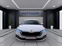Skoda Octavia - Vorschau Bild 8