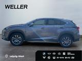 Lexus NX 300h E-FOUR Business Edition *LED*Pano*CAM*SH - Lexus: Allradantrieb