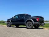 Ford F 150 Raptor - Ford F 150 mit LPG-Antrieb: Geländewagen