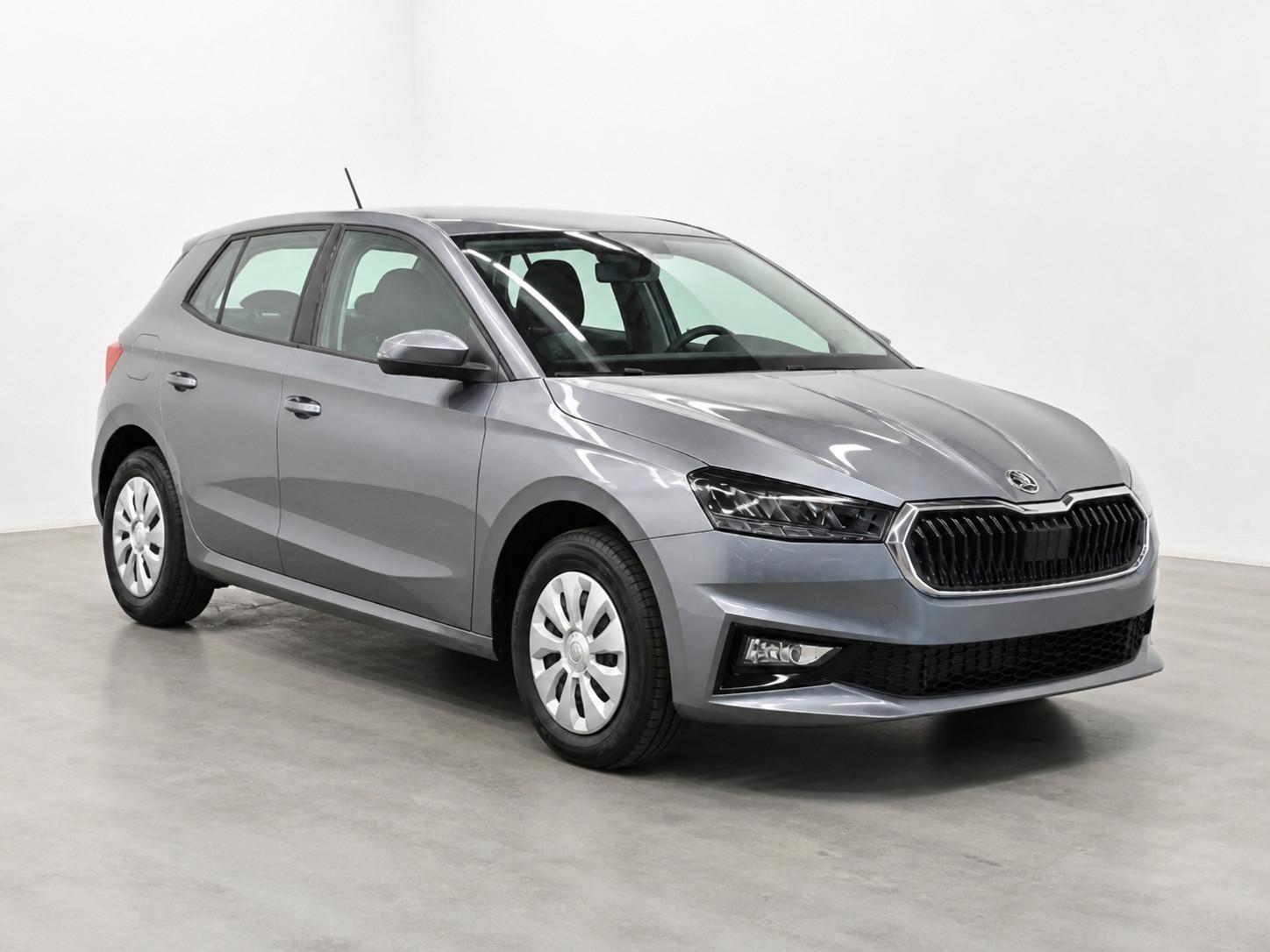 Skoda Fabia 1.0l MPI Selection LED Klima SHZ PDC Temp.