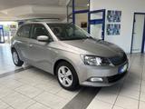 Skoda Fabia 1.0 TSI-95 Ambition,Sitzheiz., Parkh., Alu - Skoda Fabia: 1.9