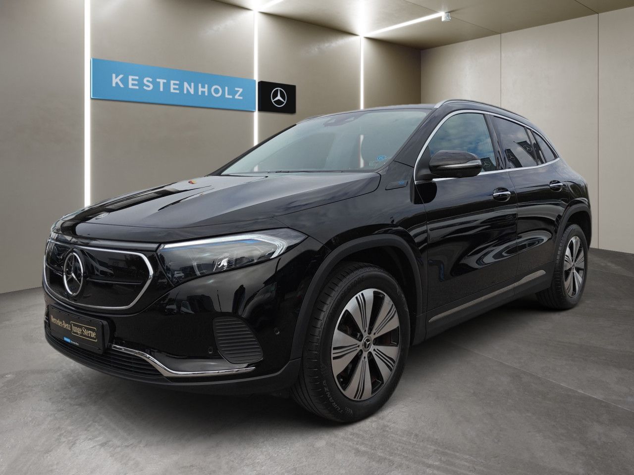 Mercedes-Benz EQA 250 Pano LED Keyl-GO Kamera Laderaump PTS imagem 2