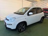 Fiat FIAT PANDA SPORT 1.0 BENZINA/IBRIDA 70CV - Fiat Panda Sport mit Hybrid-Antrieb (Benzin/Elektro)