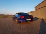 Ford Mustang 3.7 V6 Cabriolet  - Ford Mustang: Cabrio