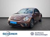 Volkswagen Beetle Allstar 1.2 TSI KAMERA NAVI SHZ - Volkswagen Beetle mit Benzin-Antrieb: Limousine, Schaltgetriebe