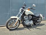 Harley-Davidson XL883 L°°SuperLow°° *DEUTSCHES MODELL* - Offers