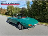 Alfa Romeo Spider Duetto 1600 - Rundheck - Alfa Romeo Spider 1600 Gebrauchtwagen