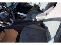Cupra Terramar - Vorschau Bild 20