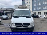 Mercedes-Benz Sprinter II Kühlkoffer, ThermoKing, 1.Hand, - Mercedes-Benz The