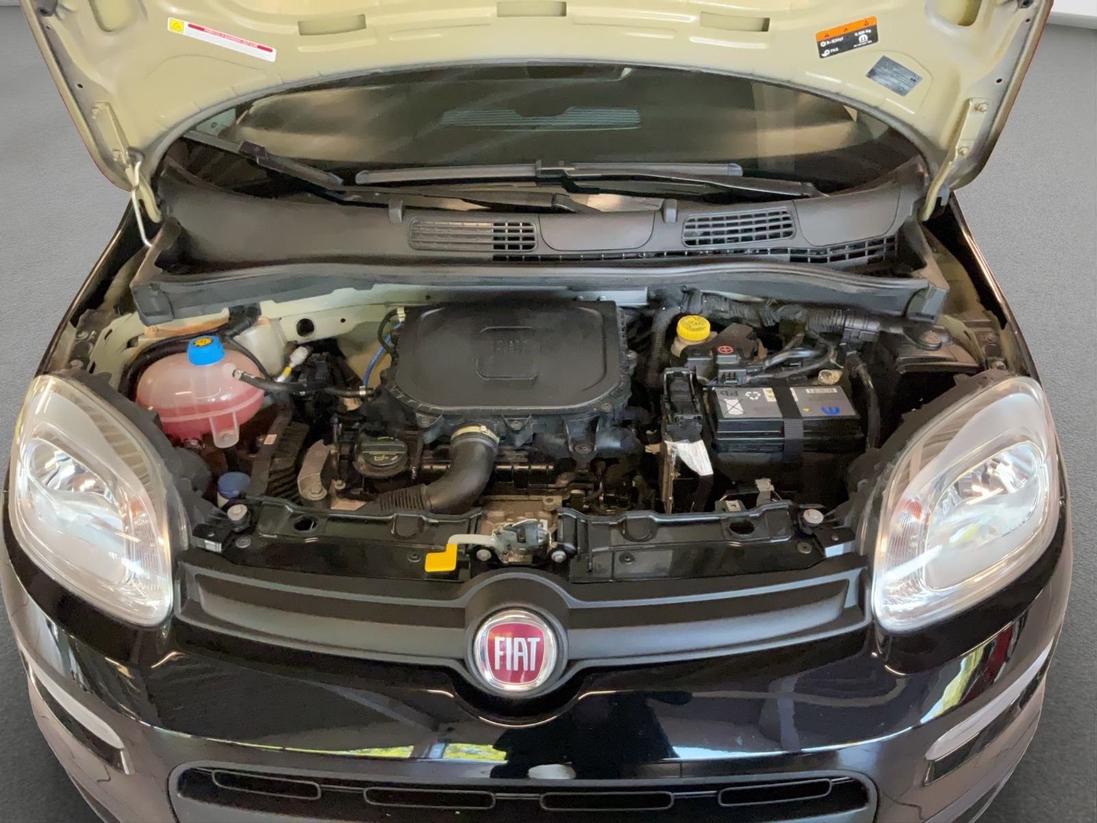 Fahrzeugabbildung Fiat Panda 1.0 Hybrid