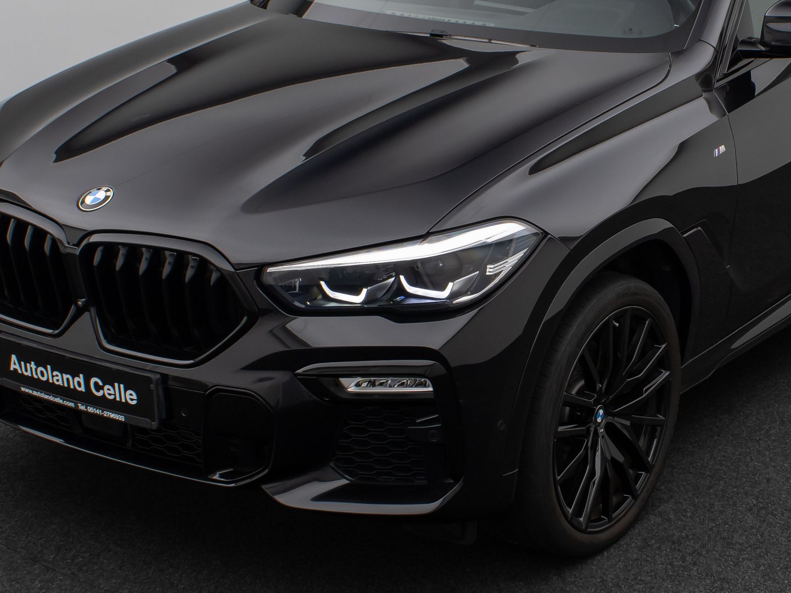 Fahrzeugabbildung BMW X6 xD30d M Sport DAB 360°DisplKey AHK Alarm 22"