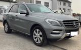 Mercedes-Benz ML 350 ML -Klasse ML 350 BlueEfficiency - Mercedes-Benz ML 350 in Köln