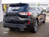 Ford Kuga 2.0 EcoBlue ST-Line X HUD B&O STANDHEIZUNG - Ford Kuga in Magdeburg