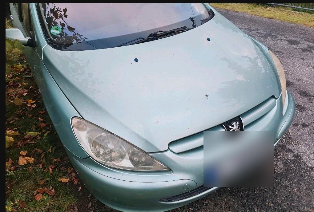 Peugeot 307 2008 — photo 7