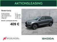 Skoda Karoq - Vorschau Bild 1