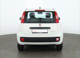 Fiat New Panda Pandina 1.0 mHEV App Connect PDC klima - weiße Fiat New Panda