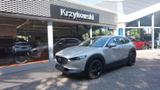 Mazda CX-30 SKYACTIV-G 2.0 150PS M Hybrid 6GS AL-SELEC - Mazda CX-30 aus 2023