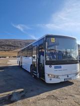 Temsa Tourmalin - 5 stuck - Angebote