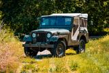 Jeep Willys M38 A1 MD - Jeep: M38