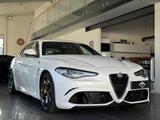 Alfa Romeo Giulia Quadrifoglio /Keramik/H&K/SHZ/ACC/Carplay - Alfa Romeo Giulia in Hannover