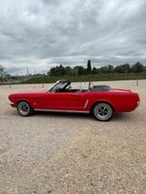 Ford Mustang Convertible 289Cu - Ford: 289