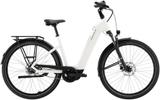 Pegasus Solero EVO 8F M - Pegasus E-Bikes