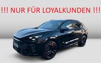Cupra Terramar - Vorschau Bild 1