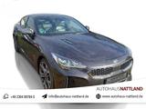 Kia Stinger GT 4WD 3.3 V6 TGDI RFK Leder Pano HuD - Kia Stinger mit Schiebedach