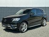 Mercedes-Benz ML 350 CDI BlueTec AMG Pano AHK 360° Leder - Mercedes-Benz ML 350 Gebrauchtwagen in Bremen