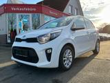 Kia Picanto Dream Team 1.2 SHZ LHZ BT Klima - Kia Picanto in Oldenburg