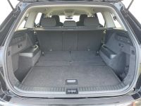 Skoda Kodiaq - Vorschau Bild 7