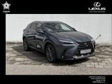 Lexus NX 350h Luxury Line - graue Lexus NX 350h